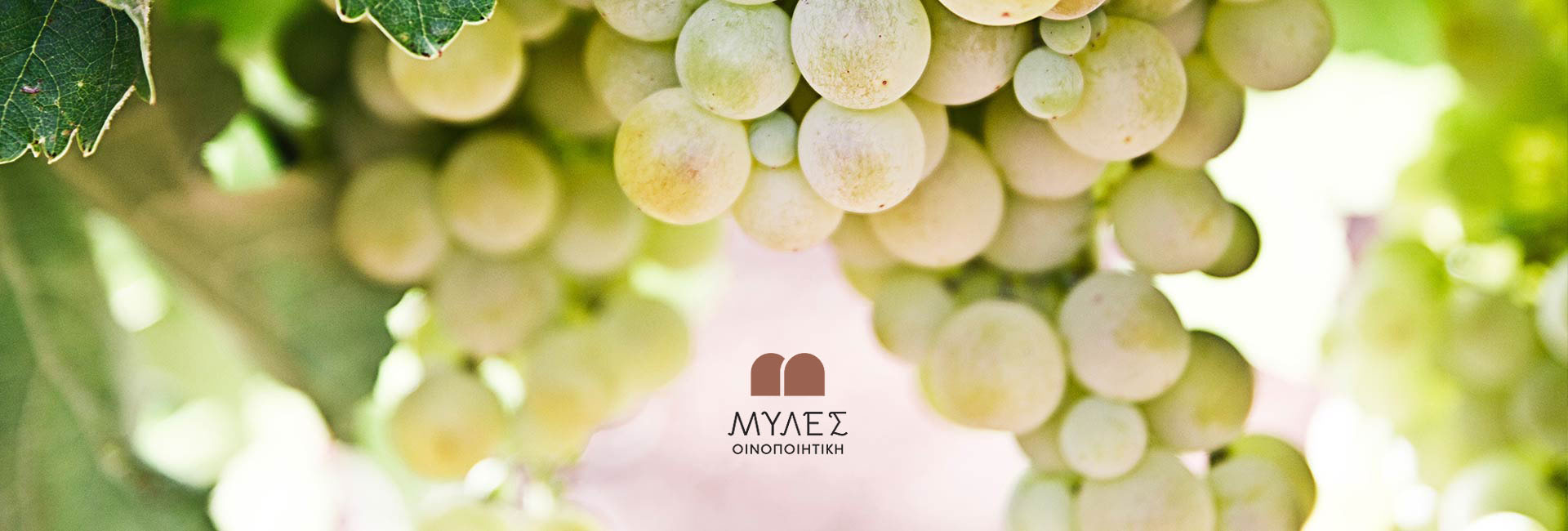 myles οινοποιητική